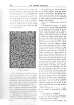 giornale/TO00207390/1931/unico/00000164
