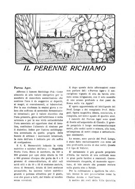 La donna italiana rivista mensile di lettere, scienze, arti e movimento sociale femminile