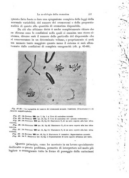 Archivio zoologico italiano pubblicato sotto gli auspicii della Unione Zoologica