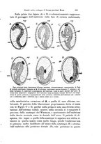 giornale/TO00209791/1914/unico/00000265