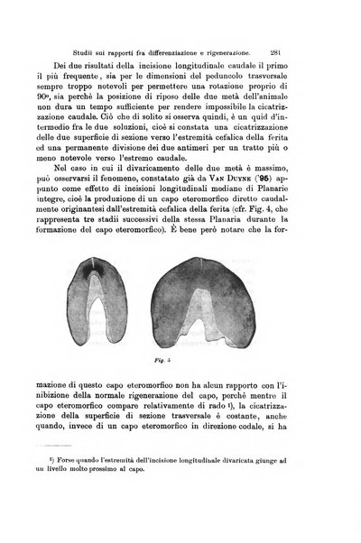 Archivio zoologico italiano pubblicato sotto gli auspicii della Unione Zoologica