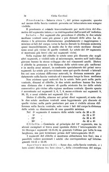 Archivio zoologico italiano pubblicato sotto gli auspicii della Unione Zoologica