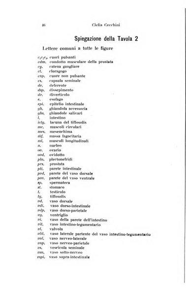 Archivio zoologico italiano pubblicato sotto gli auspicii della Unione Zoologica