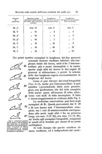 Archivio zoologico italiano pubblicato sotto gli auspicii della Unione Zoologica