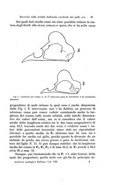 Archivio zoologico italiano pubblicato sotto gli auspicii della Unione Zoologica