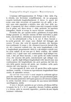 giornale/TO00209791/1917-1920/unico/00000025