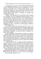 giornale/TO00209791/1917-1920/unico/00000027