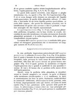 giornale/TO00209791/1917-1920/unico/00000028