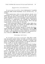 giornale/TO00209791/1917-1920/unico/00000071