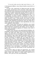 giornale/TO00209791/1917-1920/unico/00000211