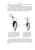 giornale/TO00209791/1923/unico/00000036