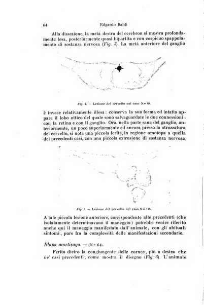 Archivio zoologico italiano pubblicato sotto gli auspicii della Unione Zoologica