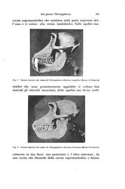 Archivio zoologico italiano pubblicato sotto gli auspicii della Unione Zoologica