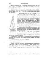 giornale/TO00209791/1923/unico/00000296