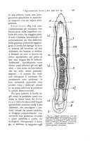 giornale/TO00209791/1926/unico/00000187