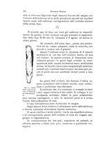 giornale/TO00209791/1928/unico/00000258