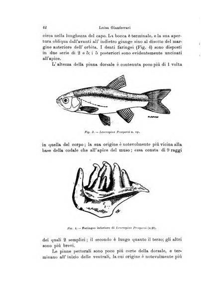 Archivio zoologico italiano pubblicato sotto gli auspicii della Unione Zoologica