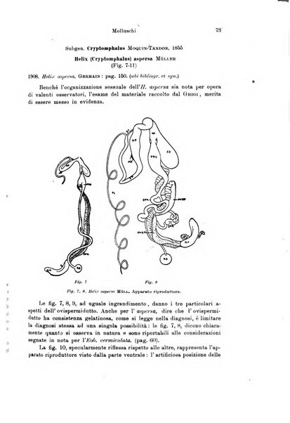 Archivio zoologico italiano pubblicato sotto gli auspicii della Unione Zoologica