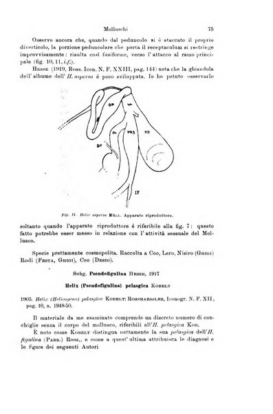 Archivio zoologico italiano pubblicato sotto gli auspicii della Unione Zoologica