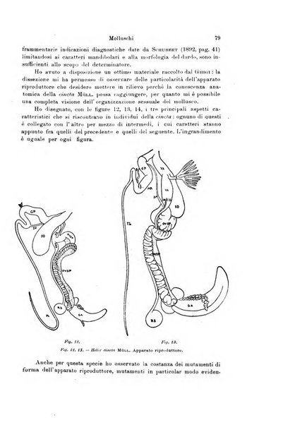 Archivio zoologico italiano pubblicato sotto gli auspicii della Unione Zoologica