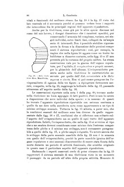 Archivio zoologico italiano pubblicato sotto gli auspicii della Unione Zoologica