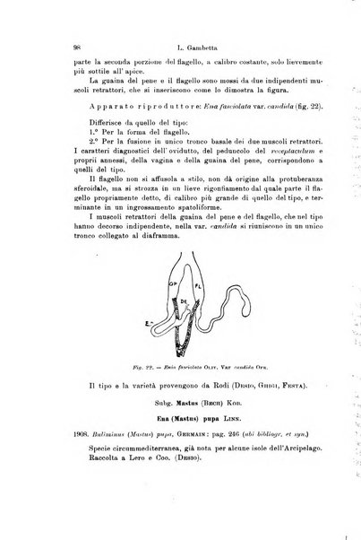 Archivio zoologico italiano pubblicato sotto gli auspicii della Unione Zoologica