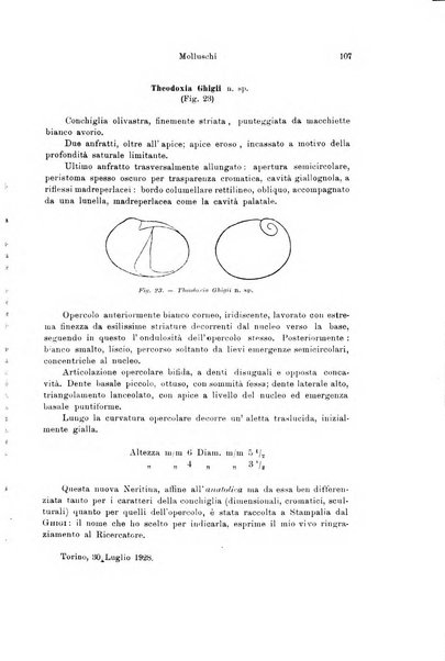 Archivio zoologico italiano pubblicato sotto gli auspicii della Unione Zoologica