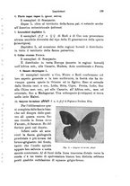giornale/TO00209791/1929/unico/00000191