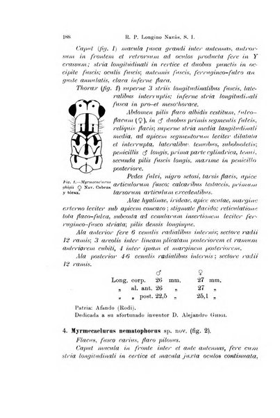 Archivio zoologico italiano pubblicato sotto gli auspicii della Unione Zoologica