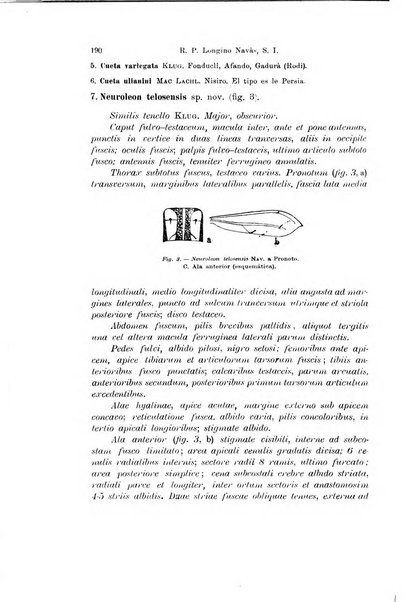 Archivio zoologico italiano pubblicato sotto gli auspicii della Unione Zoologica