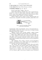 giornale/TO00209791/1929/unico/00000202