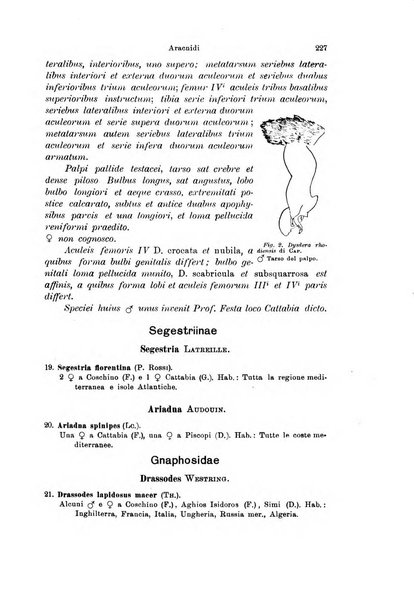 Archivio zoologico italiano pubblicato sotto gli auspicii della Unione Zoologica