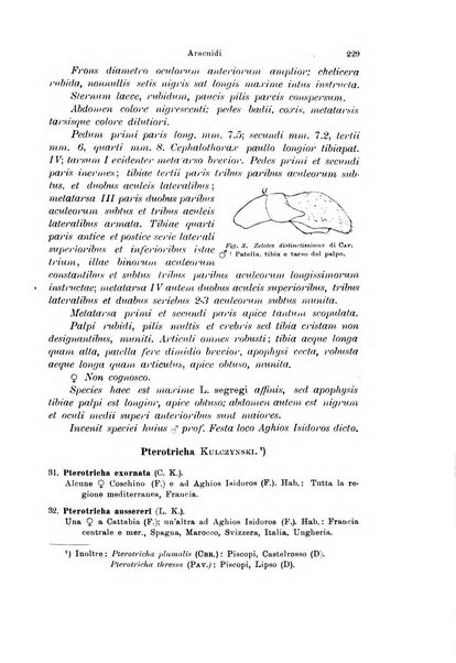 Archivio zoologico italiano pubblicato sotto gli auspicii della Unione Zoologica