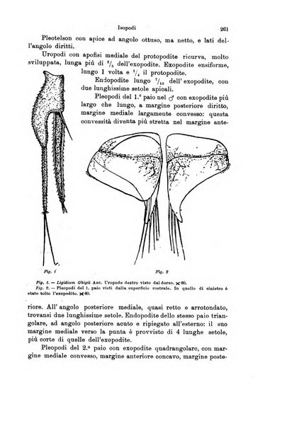 Archivio zoologico italiano pubblicato sotto gli auspicii della Unione Zoologica