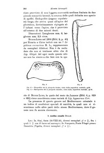 Archivio zoologico italiano pubblicato sotto gli auspicii della Unione Zoologica