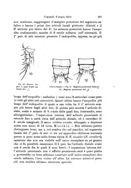 Archivio zoologico italiano pubblicato sotto gli auspicii della Unione Zoologica