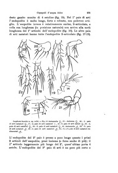 Archivio zoologico italiano pubblicato sotto gli auspicii della Unione Zoologica