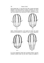 giornale/TO00209791/1930/unico/00000034