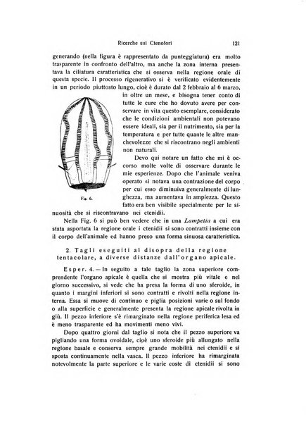 Archivio zoologico italiano pubblicato sotto gli auspicii della Unione Zoologica