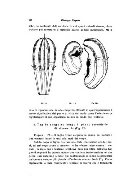 Archivio zoologico italiano pubblicato sotto gli auspicii della Unione Zoologica