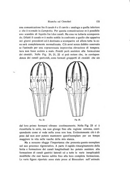 Archivio zoologico italiano pubblicato sotto gli auspicii della Unione Zoologica