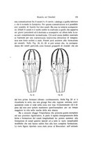 giornale/TO00209791/1930/unico/00000047