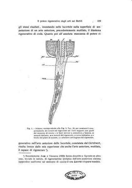 Archivio zoologico italiano pubblicato sotto gli auspicii della Unione Zoologica