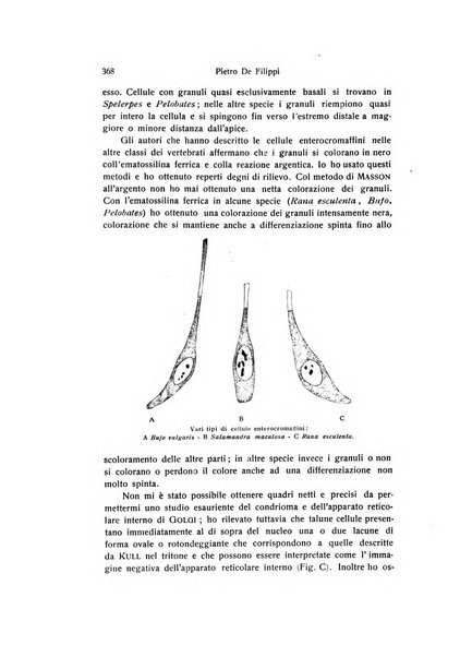 Archivio zoologico italiano pubblicato sotto gli auspicii della Unione Zoologica