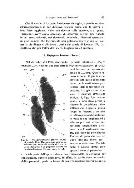 Archivio zoologico italiano pubblicato sotto gli auspicii della Unione Zoologica