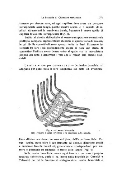 Archivio zoologico italiano pubblicato sotto gli auspicii della Unione Zoologica