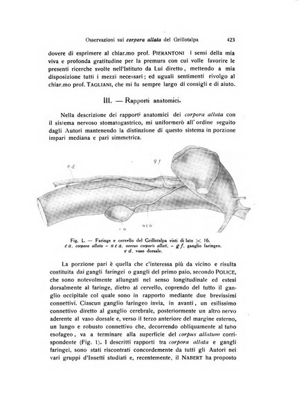 Archivio zoologico italiano pubblicato sotto gli auspicii della Unione Zoologica