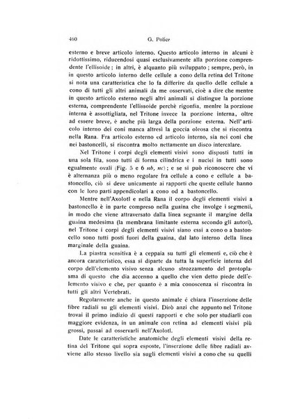 Archivio zoologico italiano pubblicato sotto gli auspicii della Unione Zoologica