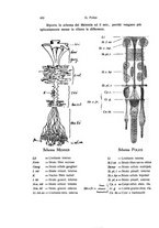 giornale/TO00209791/1931/V.17/00000492