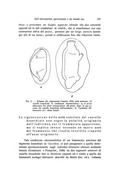 Archivio zoologico italiano pubblicato sotto gli auspicii della Unione Zoologica